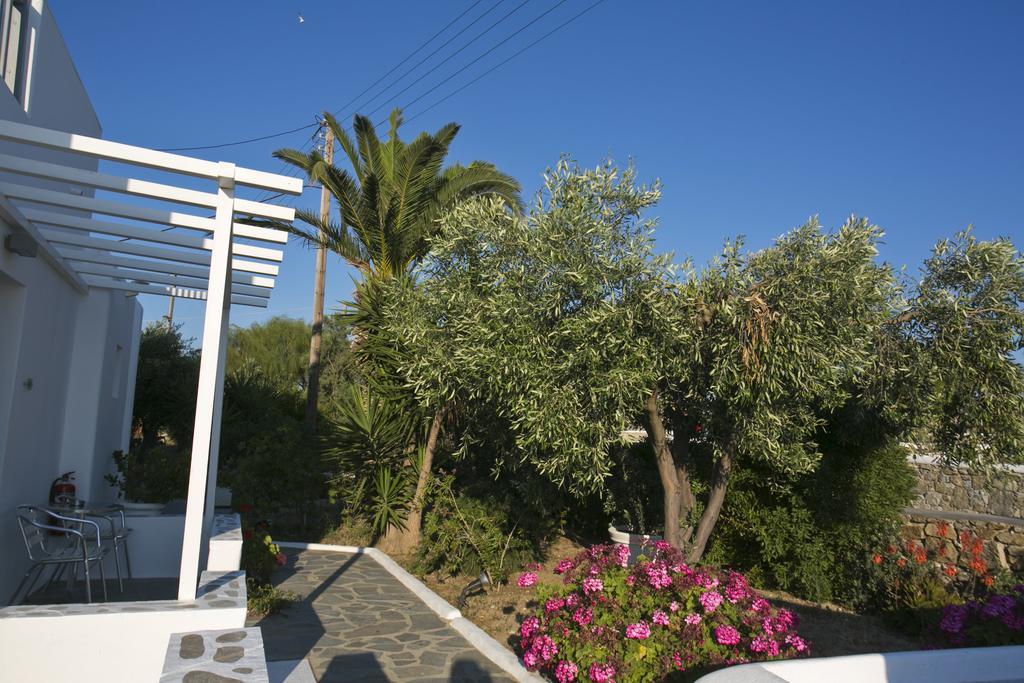 Anna-Maria Mykonos Hotel グラストロス エクステリア 写真