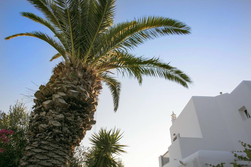 Anna-Maria Mykonos Hotel グラストロス エクステリア 写真